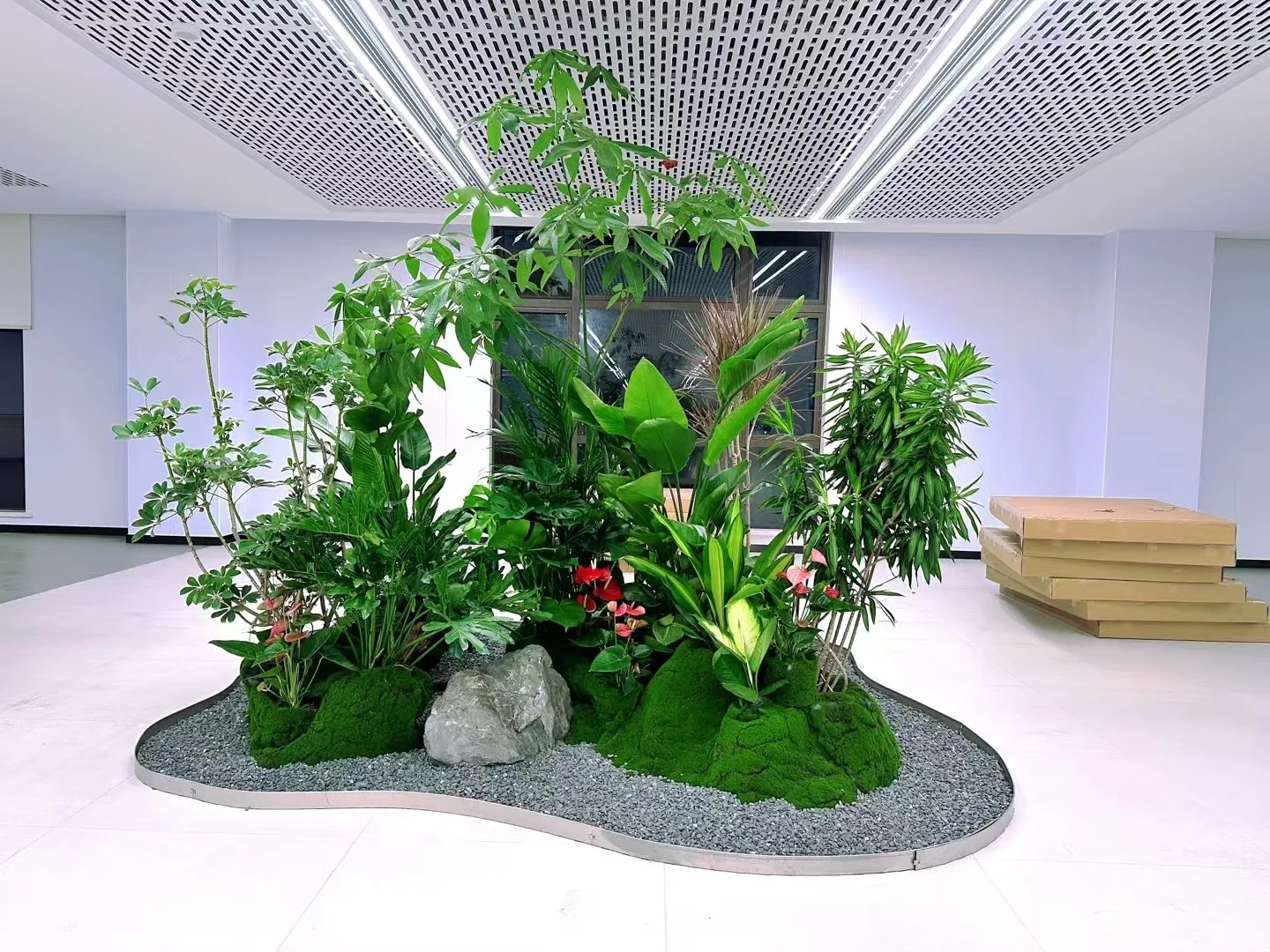 了解镇海植物租赁方案,为空间增添一抹绿